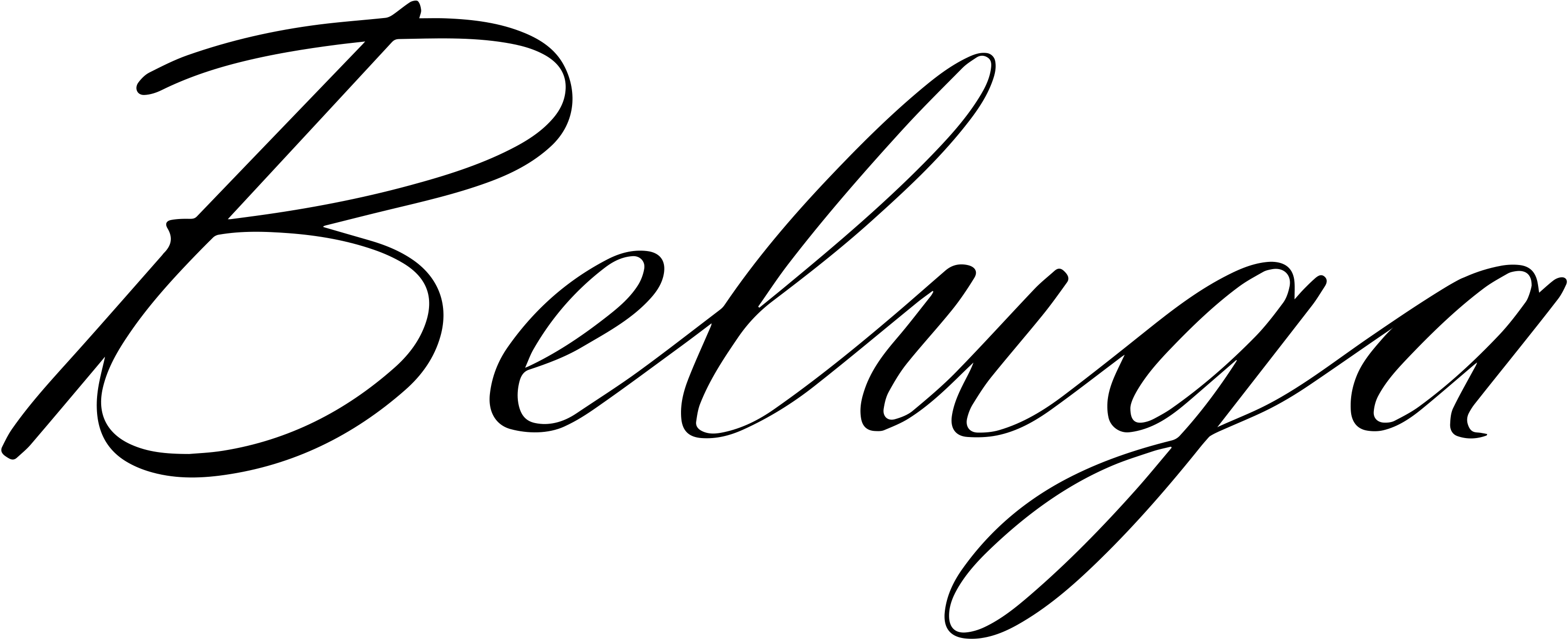 Beluga Logo