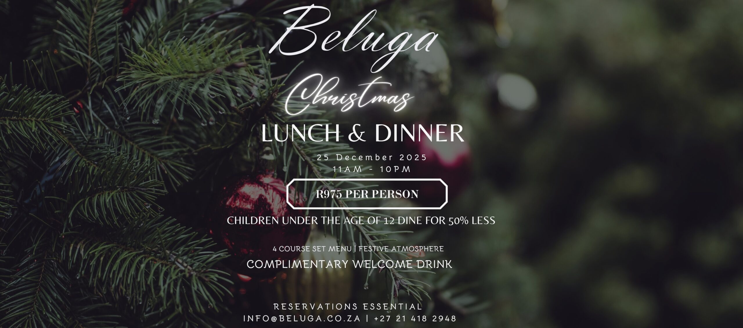 Beluga Christmas 2025